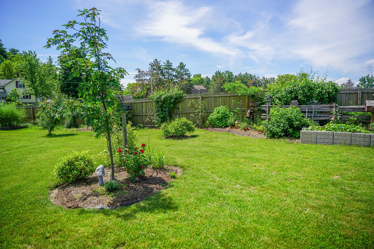 Softscaping services Tipperary